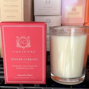 Aquiesse Winter Currant Luxury Scented Candle 6.5 oz NEW